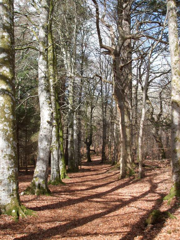 Craik Na Dav B&B Invermoriston Exteriör bild